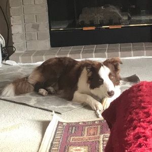 Meet your Posher, Cora